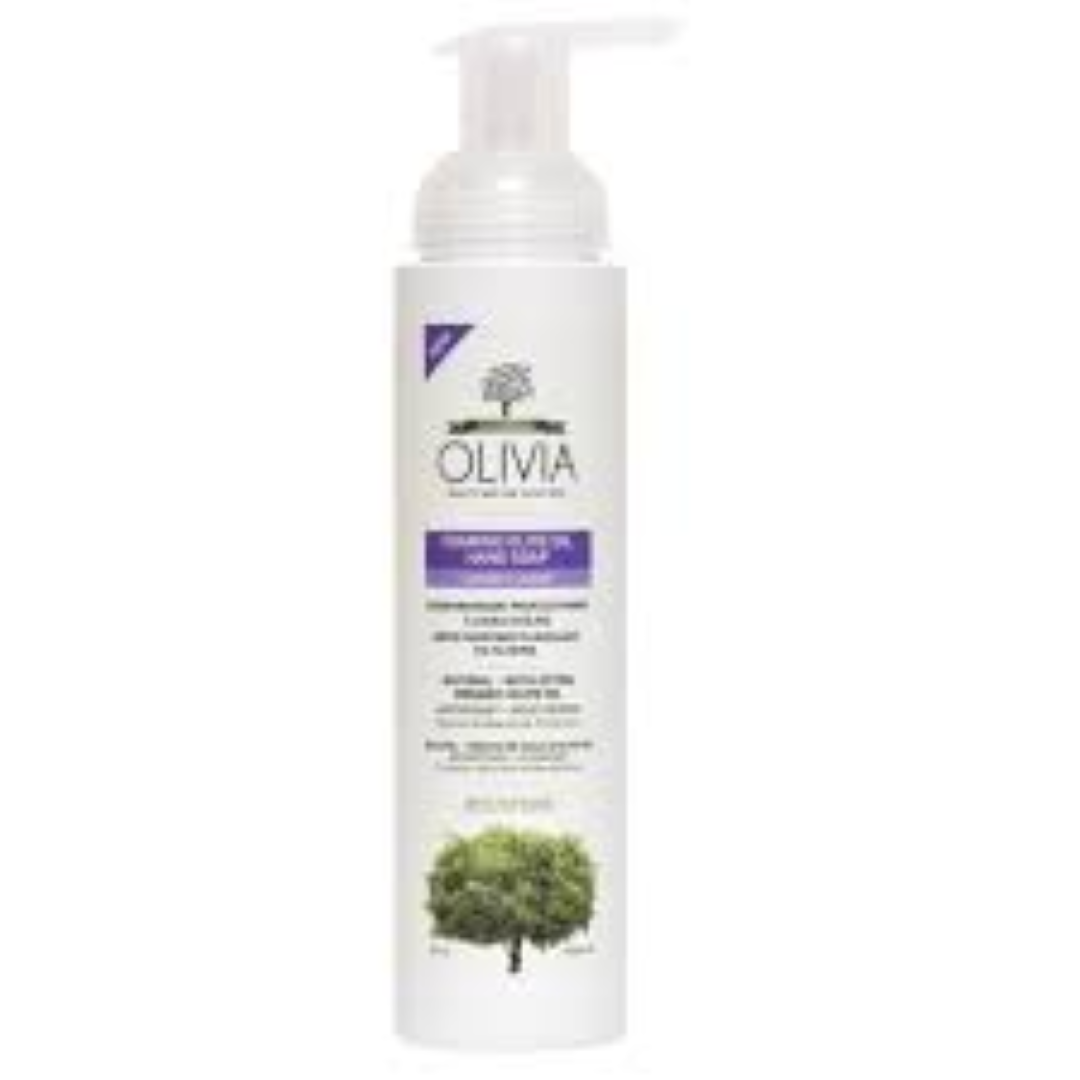 BIOCHEM LIQUID DISINFECTANT 500ML